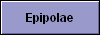 Epipolae